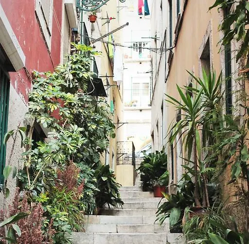 Lov'alfama, At In